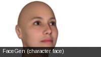 FaceGen (character face)